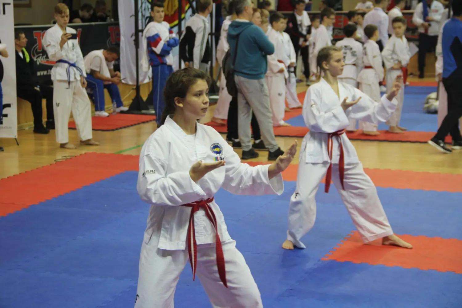 Чемпионат и Первенство России по Тхэквондо МФТ 7-10 ноября 2019г. в г. Одинцово