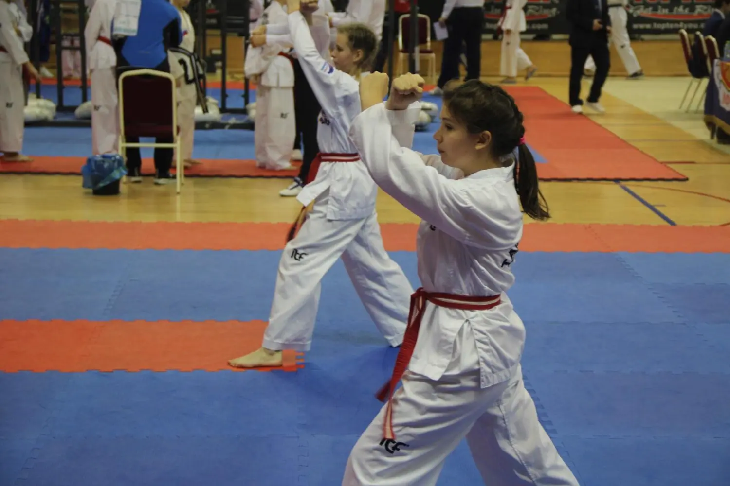 Чемпионат и Первенство России по Тхэквондо МФТ 7-10 ноября 2019г. в г. Одинцово