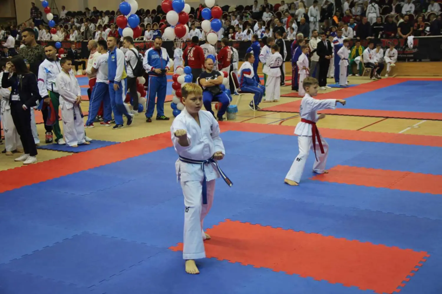 Чемпионат и Первенство России по Тхэквондо МФТ 7-10 ноября 2019г. в г. Одинцово