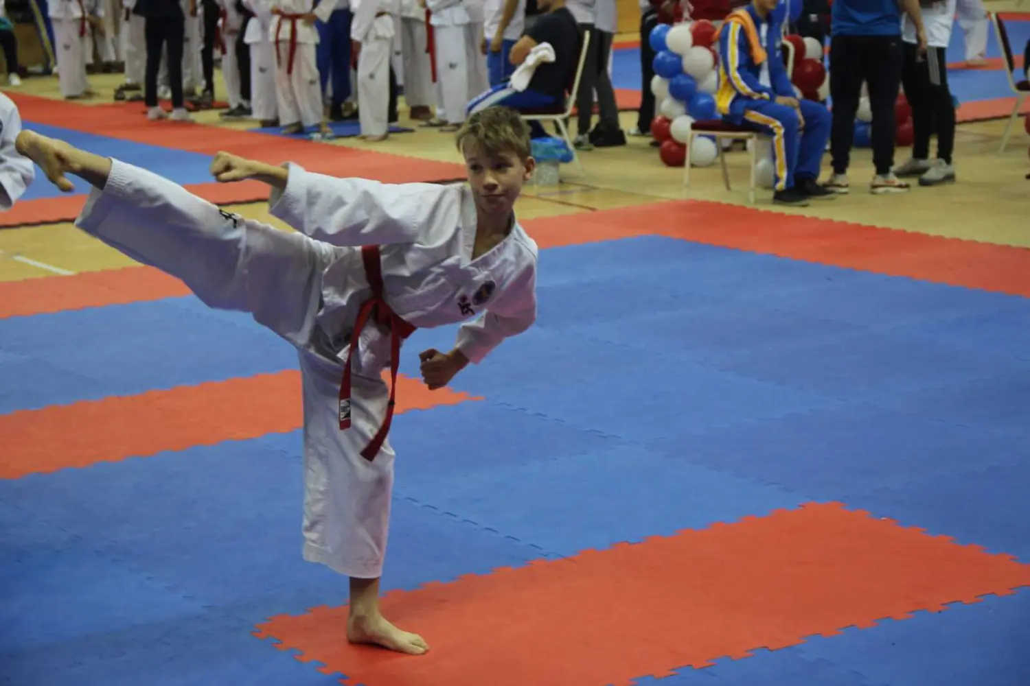 Чемпионат и Первенство России по Тхэквондо МФТ 7-10 ноября 2019г. в г. Одинцово