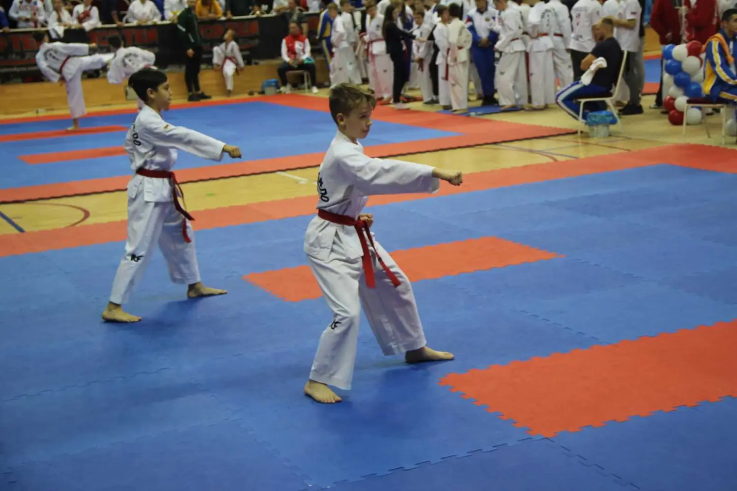 Чемпионат и Первенство России по Тхэквондо МФТ 7-10 ноября 2019г. в г. Одинцово