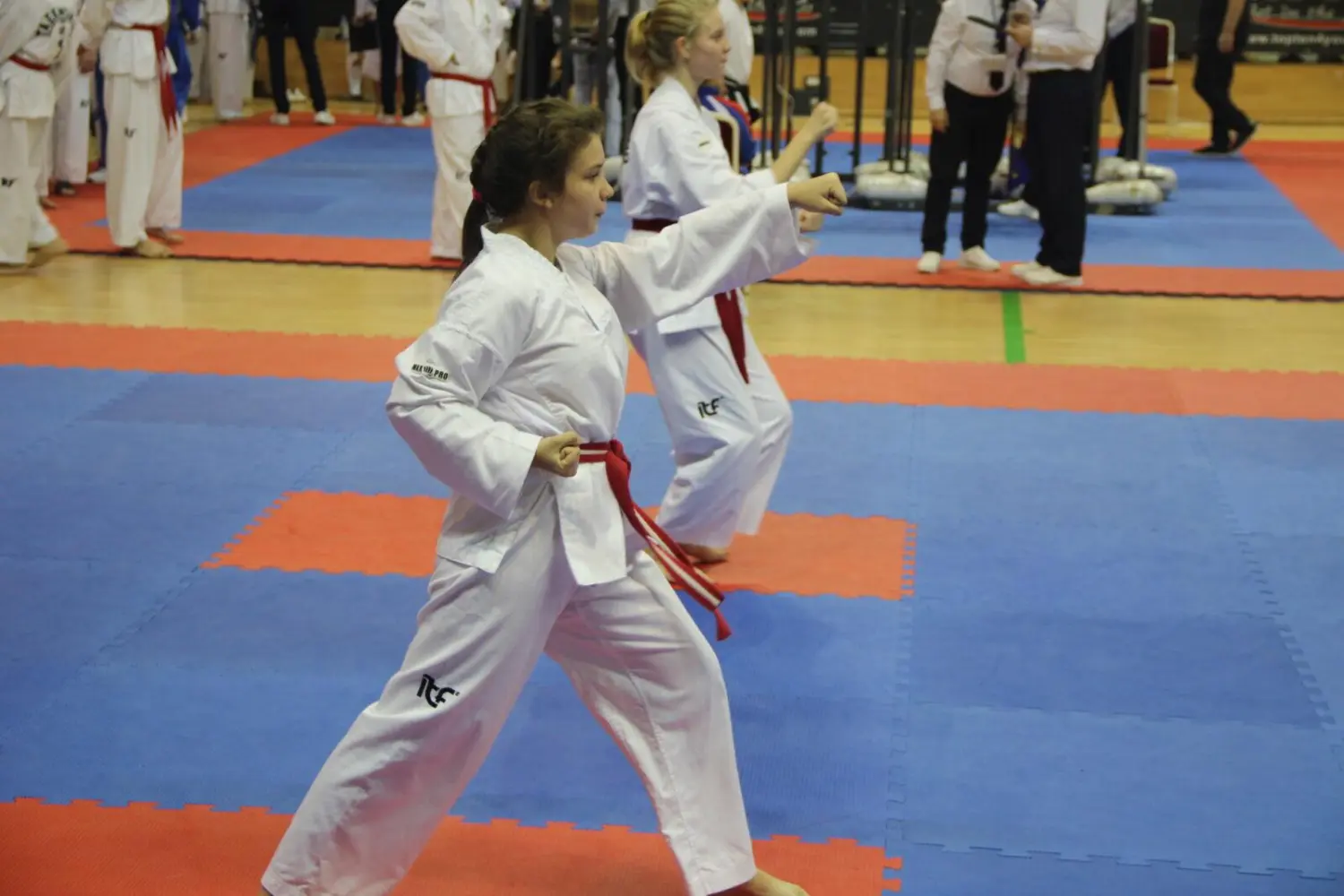 Чемпионат и Первенство России по Тхэквондо МФТ 7-10 ноября 2019г. в г. Одинцово