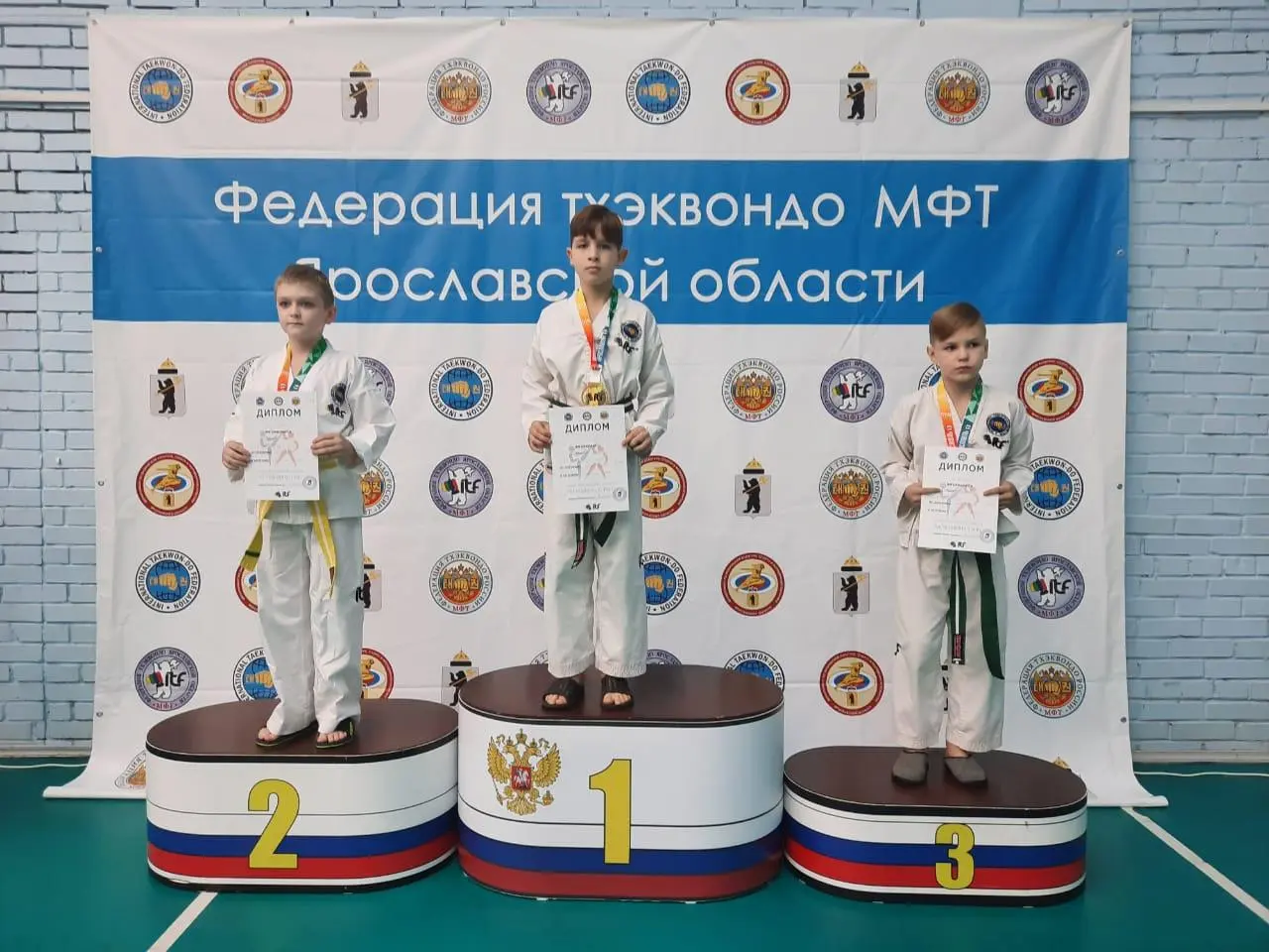Кубок Ярославской области по Тхэквондо МФТ