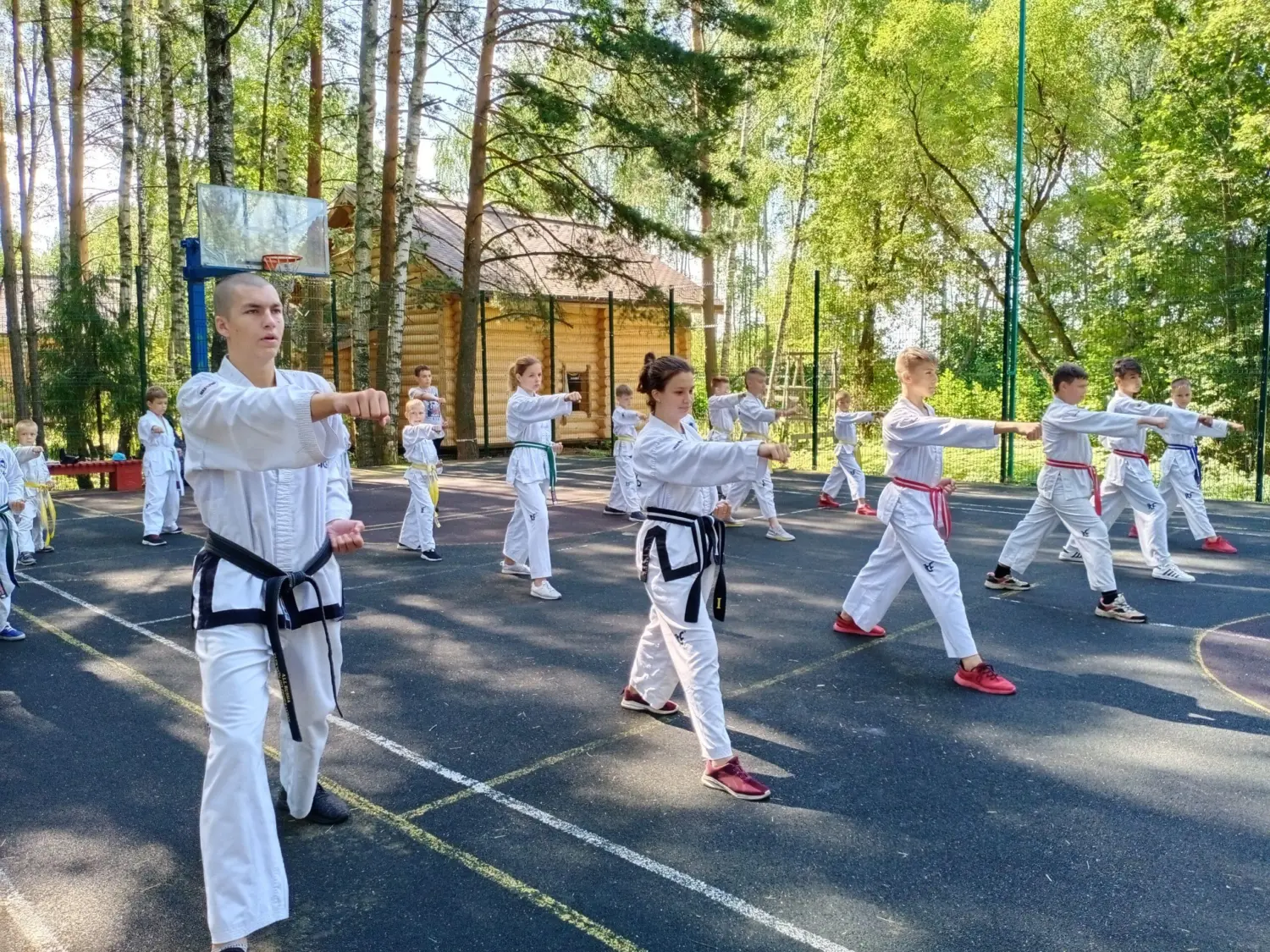 Учебно-тренировочные сборы по тхэквондо