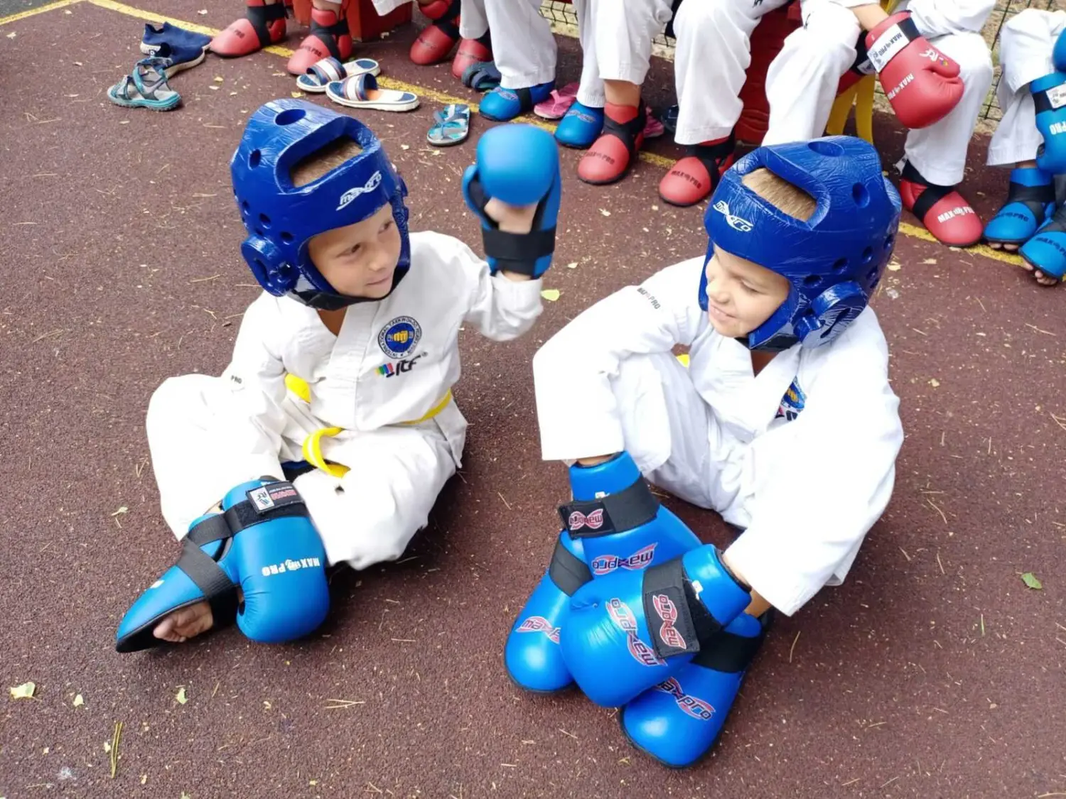 Учебно-тренировочные сборы по тхэквондо