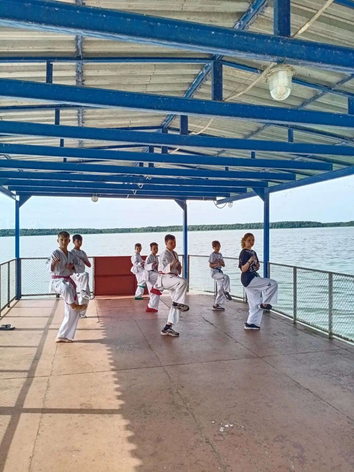 Учебно-тренировочные сборы по тхэквондо