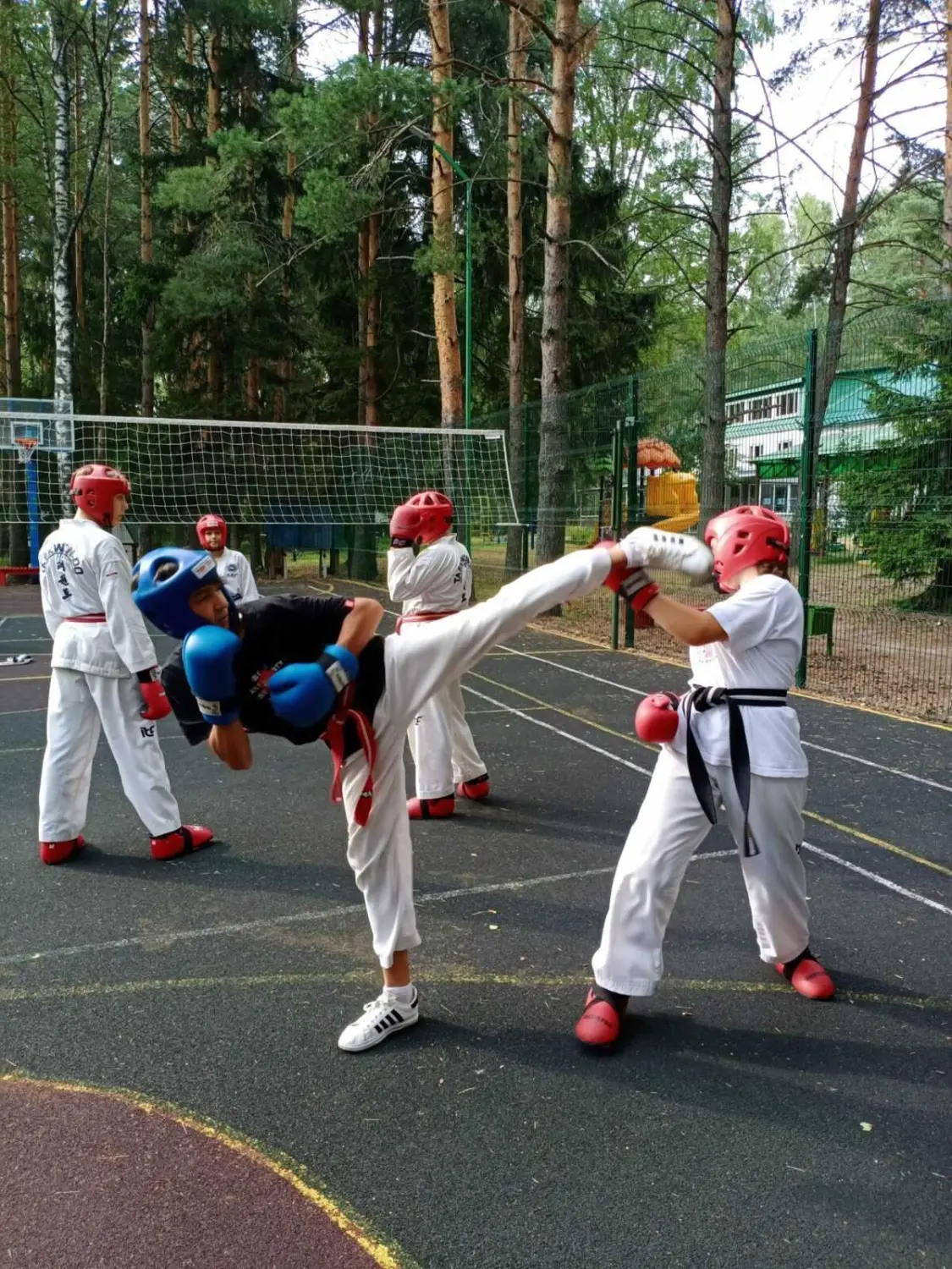 Учебно-тренировочные сборы по тхэквондо