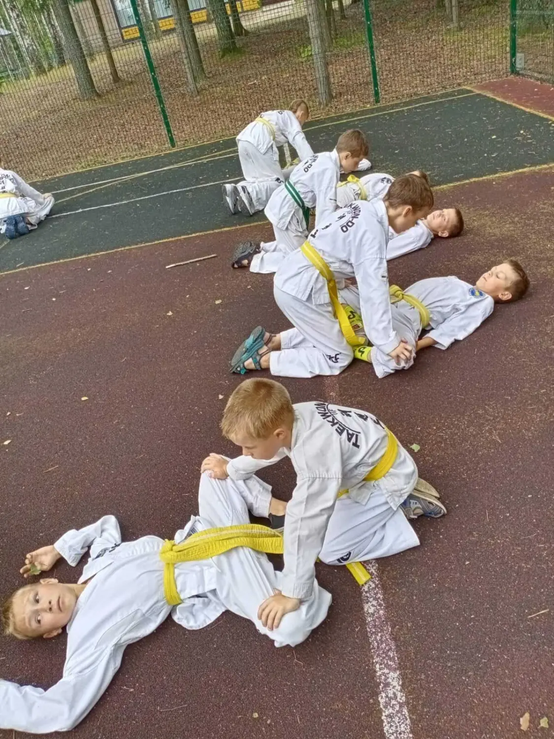 Учебно-тренировочные сборы по тхэквондо