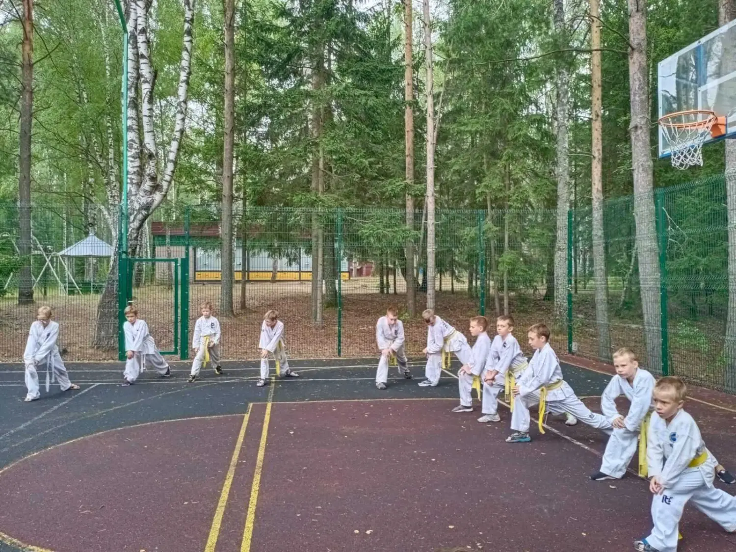 Учебно-тренировочные сборы по тхэквондо