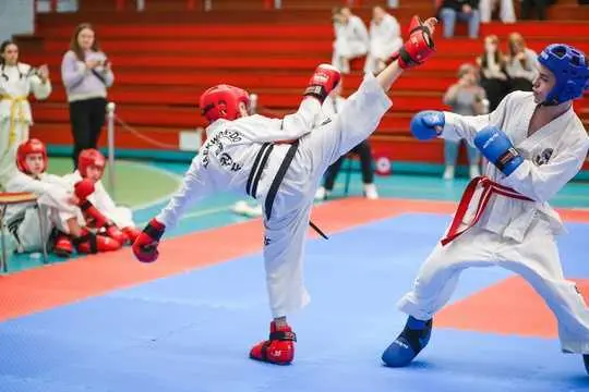 Друзья, вашему вниманию — подборка фотографий с Чемпионата и Первенства Ярославской области по тхэквондо МФТ с нашими спортсменами 📷🥰